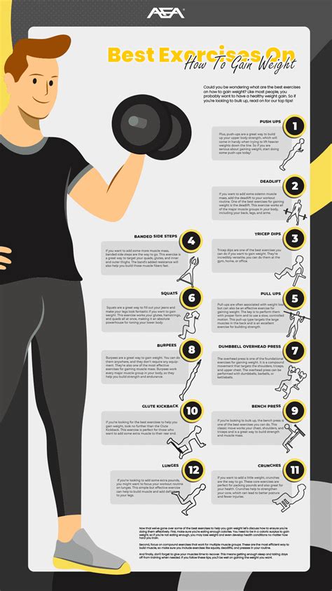 Best Exercises On How To Gain Weight Infographics