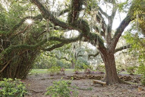 avery island 8 4x6 | Avery Island, LA, known for Tobasco sau… | Flickr