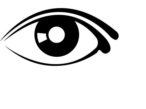 Collection of Eye PNG. | PlusPNG