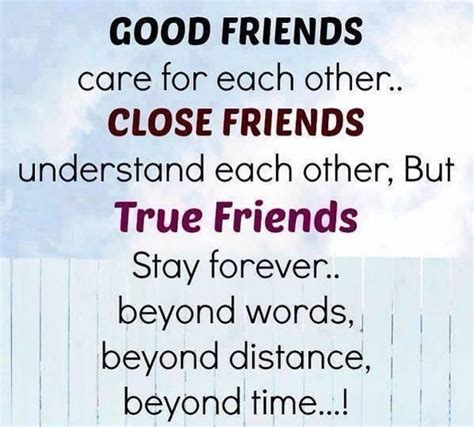 40 Best Friendship Quotes For True Friends