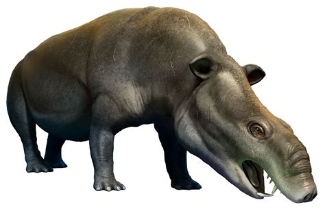 Moeritherium - Facts and Figures