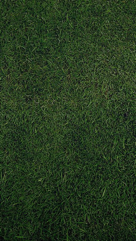 25 Fall iPhone Wallpapers | Grass textures, Grass texture seamless ...