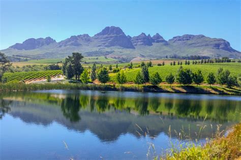 One Day in Cape Winelands (Guide) - What to do in Cape Winelands