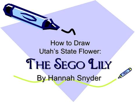 How to draw sego lily