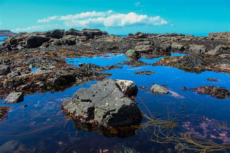 Glengorm Wildlife Project - Tobermory Isle of Mull