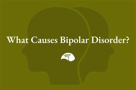 What Causes Bipolar Disorder? | Manic Depression Symptoms