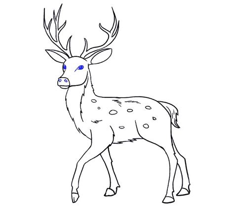 How to Draw a Deer - Really Easy Drawing Tutorial | Deer drawing, Deer ...