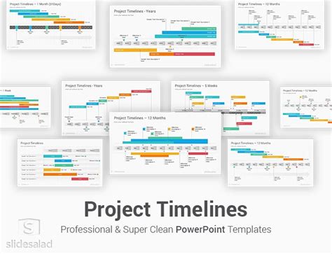 Project Timelines Diagrams PowerPoint Presentation Template