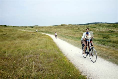 The Netherlands' 11 best cycling routes and locations - Lonely Planet