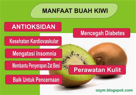 11 Manfaat Buah Kiwi Yang Menakjubkan | Ozym Blog