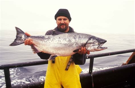 Why Faroe Island Salmon is the Best Seafood Choice?