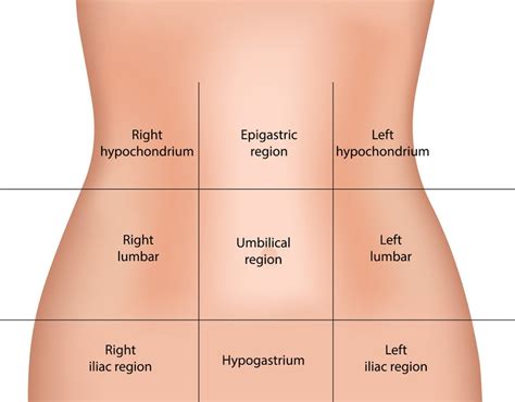 Upper Abdominal Pain: Find Out What is Causing It and What You Can Do