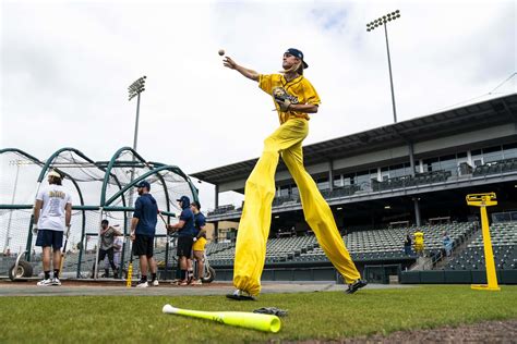 Download Savannah Bananas Player Stilt Catch Practice.jpg Wallpaper ...