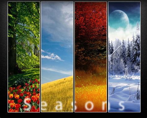 Four Seasons Wallpaper