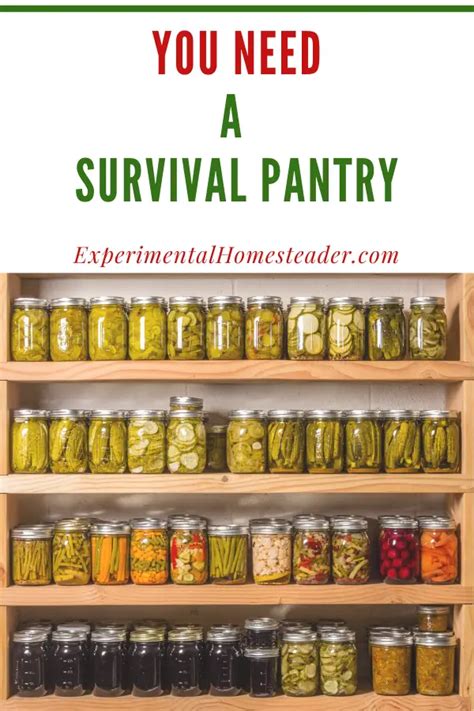 Learn What A Survival Pantry Is And Why You Need One - Experimental ...