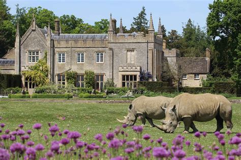 Cotswold Wildlife Park and Gardens (Burford) - Lohnt es sich?