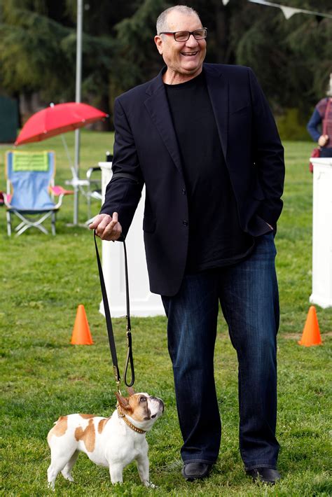 Modern Family's Star French Bulldog Dies After Filming Series Finale: Report in 2020 | Modern ...