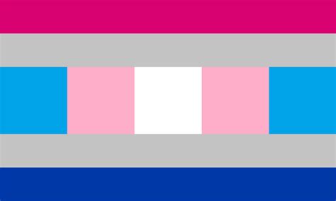 Cis-passing Pride Flag by jfifles on DeviantArt