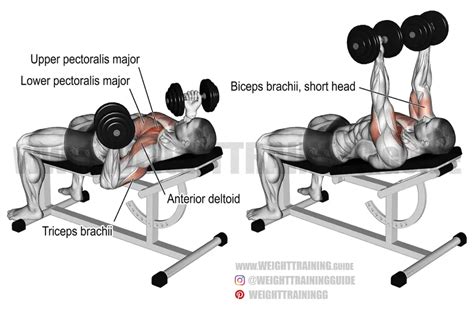 Incline reverse-grip dumbbell bench press exercise instructions and video