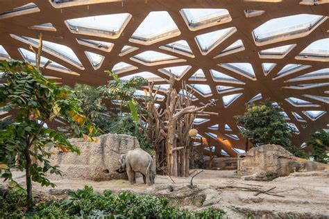 Casa del Elefante Zoo Zürich / Markus Schietsch Architekten | Plataforma Arquitectura