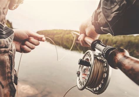 Best Fly Reels Under $200 (2023 Buyer's Guide) - Into Fly Fishing