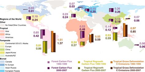 A Large and Persistent Carbon Sink in the World’s Forests | Science