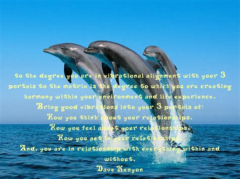 Quotes About Dolphins. QuotesGram