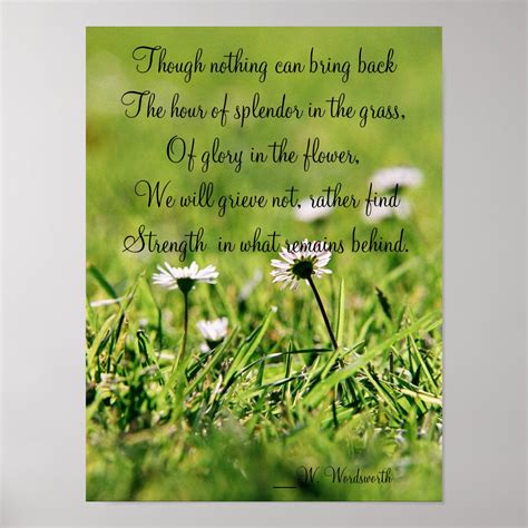 Splendor In The Grass poster | Zazzle