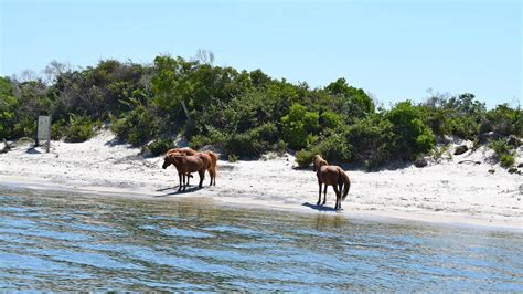 Specialized Unit: Assateague National Park