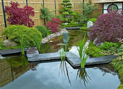 Japanese Zen Water Garden with Tea House Photograph by Derek Harris