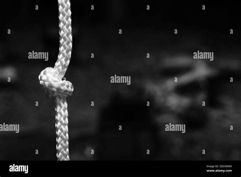 White rope and knot on the black background Stock Photo - Alamy