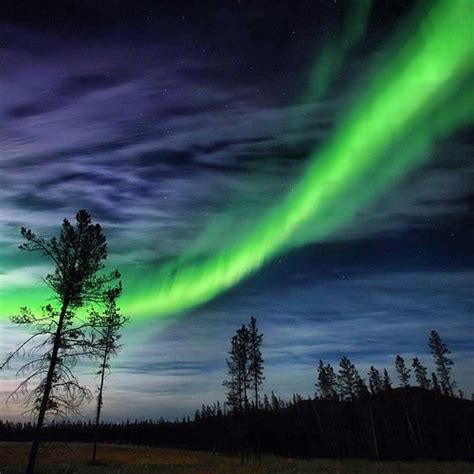 Northern Lights, Whitehorse, Yukon. | Canada | Pinterest