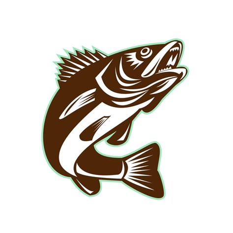 Walleye Fish Jumping Isolated Retro 11885633 Vector Art at Vecteezy