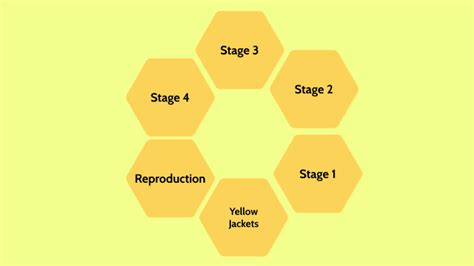 Life Cycle of Yellow Jackets by Ginavieve Rowley on Prezi