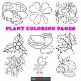 Free Printable Plant Coloring Pages For Kids sketch template