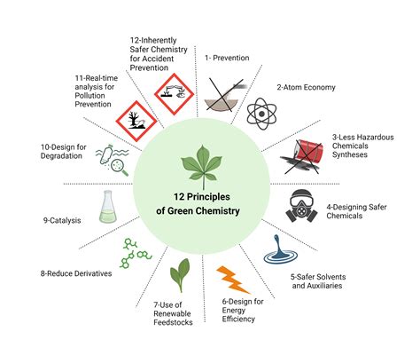 12 principles of green chemistry | BioRender Science Templates