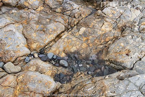 Stock photo of An outcrop of volcanic brecciated tuff comprising ...