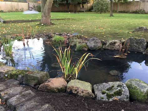 Gallery – Wildlife Ponds | Pond Works