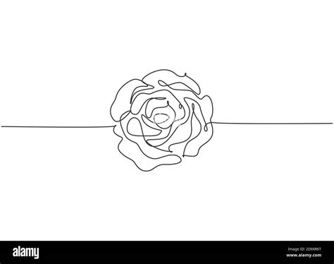 Single continuous line drawing of beautiful fresh romantic rose flower. Trendy greeting card ...