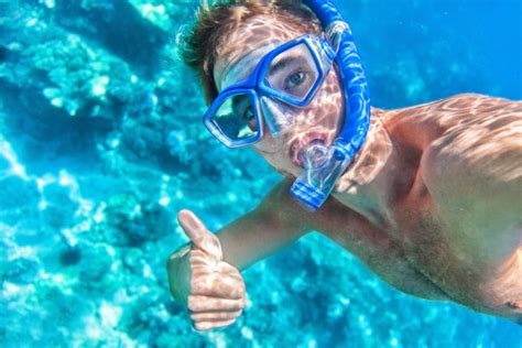 Best Snorkelling Spots Near Cairns | Fitzroy Island