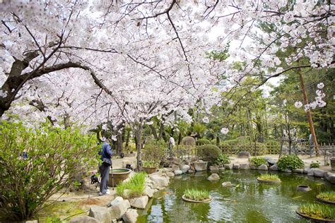 Shukkeien Garden, on one page charms and highlights quickly, Hiroshima ...