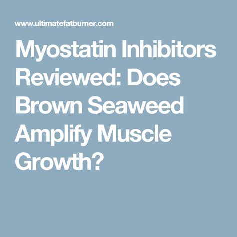 Myostatin Inhibitors Reviewed: Does Brown Seaweed Amplify Muscle Growth? | Muscle growth, Muscle ...