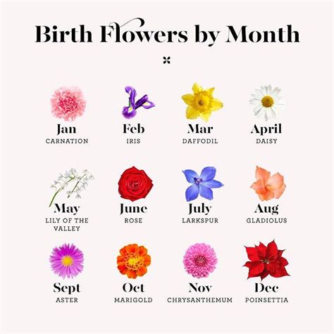 May babies, did you know your #birthflower is lily of the valley? It symbolizes sweetness and ...