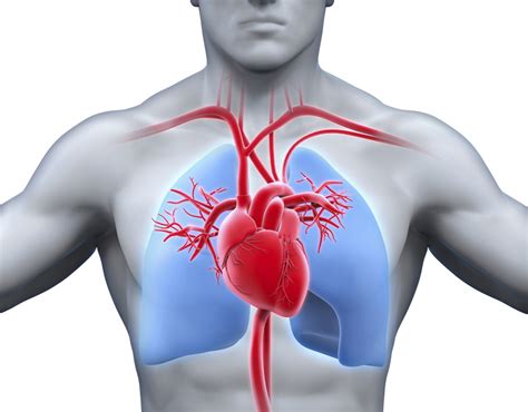 Lung congestion monitor shows benefit in heart failure