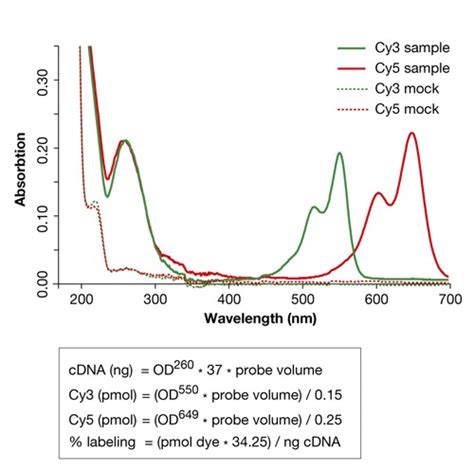 Quantification of labelled material. Absorption spectra for Cy3- and ...