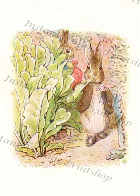 BENJAMIN BUNNY High Resolution Instant Download Antique Reproduction File 1904 - Etsy