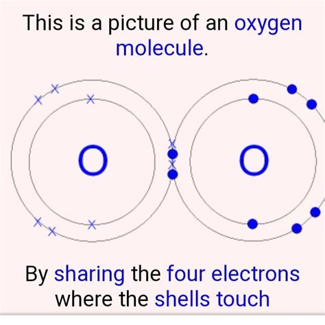 Drawing the structure of the oxygen molecule - Brainly.in