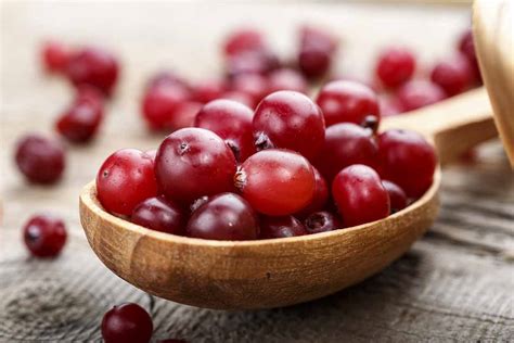 Cranberry Fruit: Nutrition Facts, Benefits, and Concerns