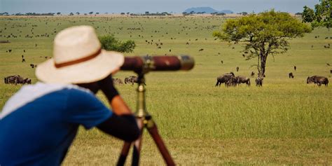 11 Days Tanzania Migration Safari & Beach – Bateleur Eagle Safaris