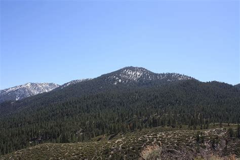 HD wallpaper: Mountains, Forest, Nature, Nevada, scenery, outdoor, view ...